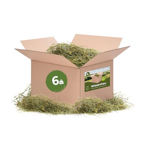 Bolson frisches & unbehandeltes Wiesenheu (6 kg) - 1.Schnitt Heu mit Gräsern & Blüten aus Bayern - direkt ab Hof verpackt - hochwertiges Heu zur Fütterung & Einstreu von Kaninchen, Hamster