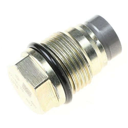 1110010015 1110010017 1110010018 1110010028 Kraftstoffverteilerrohr-Druckventil Entlastungsbegrenzerventil/Fit for DAF FORD KIA VOLVO SUZUKI