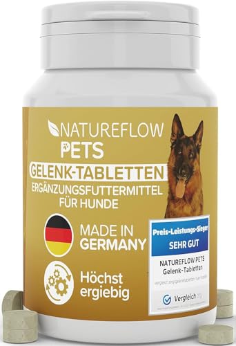 Gelenktabletten Hunde – Test SEHR GUT Made in Germany mit Grünlippmuschel, MSM und Teufelskralle - Keine Kapseln, hohe Akzeptanz Gelenktabletten Hund - 100 Stück