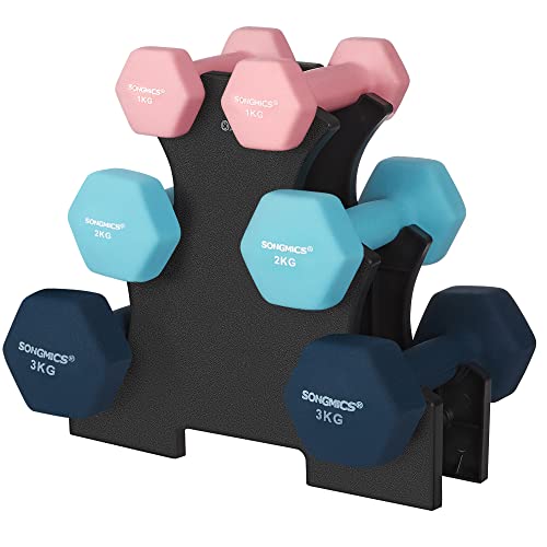 SONGMICS Hanteln, Hantelset, Kurzhanteln, Hexagon, mit Hantelständer, 2 x 1 kg, 2 x 2 kg, 2 x 3 kg, Vinyl-Beschichtung, Krafttraining, rosa, aquamarin und blau SYL612MK