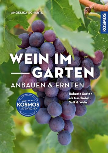 Wein im Garten anbauen & ernten: Robuste Sorten als Naschobst, Saft & Wein