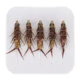 Entgoinggo Fliegenfischen Fliegenköder, realistische Stonfly-Nymphe, Fliegenfischhaken-Set aus Karbonstahl, Köder-Set für Forelle, Barsch, Äsche