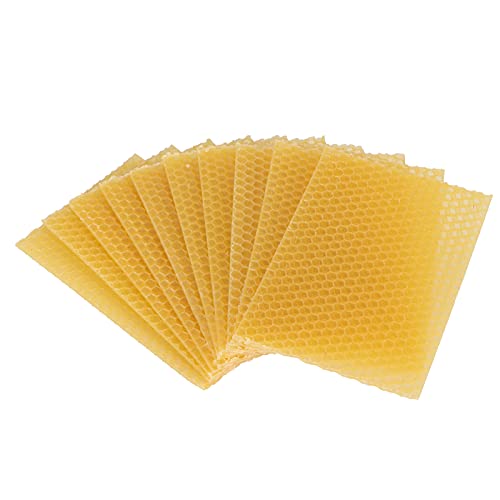 Enforose Beehive Wax Coated Foundation Sheet, 10 Stück Imkerei-Bienenwachs-Foundation Beehive Wax Frame Imkereiausrüstungszubehör