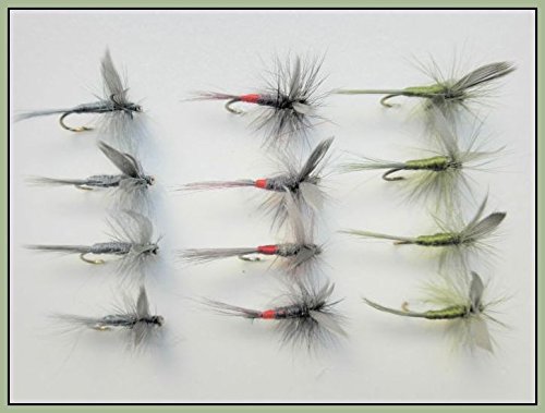 Troutflies UK Ltd Dry Forellenangeln Fliegen, 12 Stück Eisen, Blau & Olive Dun, Auswahl von Größen erhältlich