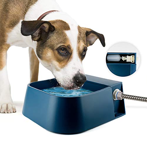 Namsan Schwimmer Tränkebecken für Haustiere Automatisch Hundetränke Schwimmertränke mit Schwimmerventil für Hunde/Katze/Hühner/Enten/Pferde/Schafe