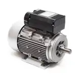 Wiltec Profi Elektromotor 230 V 2,2 kW (3 PS) 1-phasig 2-polig E-Motor mit Anlaufkondensator 2850 U/min und Kupferwicklung