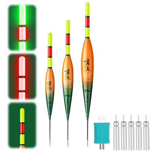 Hekasvm LED Posen Angeln Geeignet für Weitwürfe Kann die Farbe ändern mit Batterie Ladegerät und Batterie Typ CR425 Angelzubehör Kann Tagsüber Und Nachts Verwendet Werden (Bleiverbrauch 10g+20g+30g)
