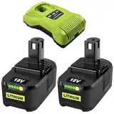 2 Stück 8000mAh Ersatzakku für Ryobi Akku 18V P108 + 1 Stück Ladegerät Kompatibel mit Ryobi P117 18V Ladegerät RB18L50 RB18L40 RB18L25 RB18L15 RB18L13,mit LED-Anzeige