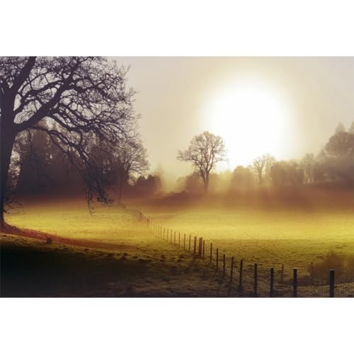 YongFoto 2,5x1,8m Weidegarten Fotografie-Hintergrund Leere Weidefläche bei Sonnenuntergang Naturlandschaft Fotohintergrund für den ländlichen Raum Viehzuchtbetrieb Draussen Themenporträt Requisiten