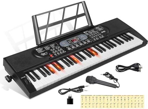 Hricane 61 leuchttasten epiano digitalpiano mit Mikrofon Notenständer & Klaviernote, Midi Keyboard in voller Größe elektrisches klavier für Erwachsene Kinder, HEP-669S Schwarz Modern