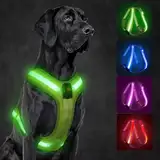 KOSKILL LED Hundegeschirr Wiederaufladbares Beleuchtetes Hundegeschirr Leuchtet Im Dunkeln LED Hundeweste Reflektierend Hundelichter für Nachtspaziergänge (Grün, L)