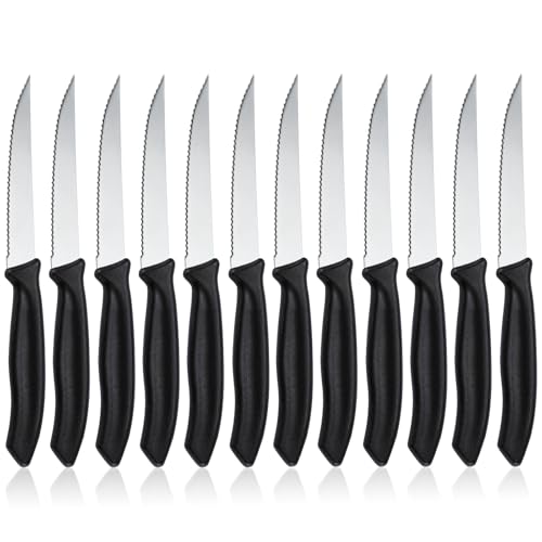 hunnycook Steakmesser 12 Stück, Wellenförmiger Tafelmesser mit Wellenschliff, Frühstücksmesser set aus Edelstahl, Steakmesser set für Haus und Restaurant, Spülmaschinenfest