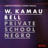 Private School Negro [Vinyl LP]