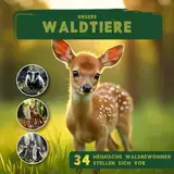 Waldtiere: Entdecke 34 heimische Waldbewohner und ihre Geheimnisse – Ein Kinderbuch für kleine Naturforscher ab 4 Jahren