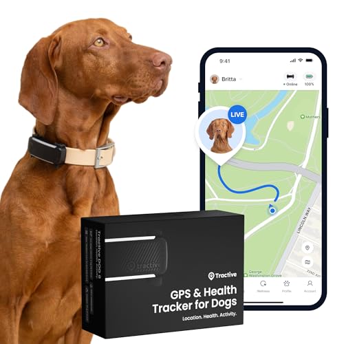 Tractive GPS Tracker Hund | 2025 Edition | Live-Ortung | Weglaufalarm | Aktivitätstracking | Gesundheitswarnungen | Bellverhalten | Empfohlen von Martin Rütter (Schwarz)