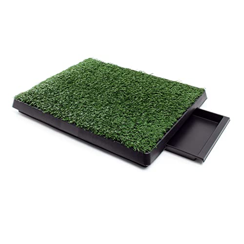Fudajo Welpen Hundetoilette mit Gras 63x51cm – Hundeklo mit Kunstrasen als Trainingsunterlage für Welpen und Hunde