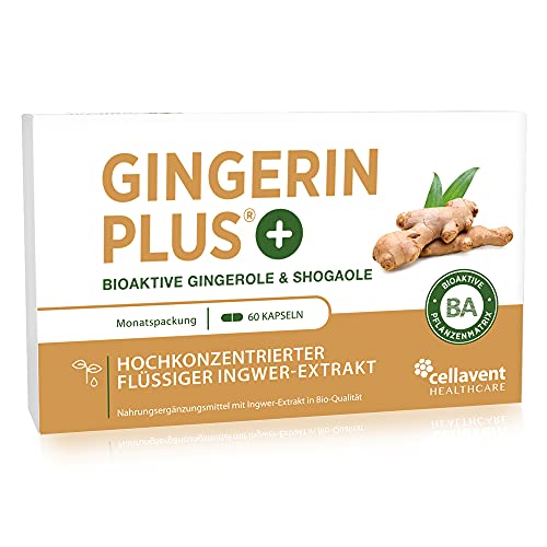 Bio Ingwer-Extrakt Kapseln | 22.000mg Ingwer Pulver | höchste Gingerol & Shogaol Werte | 2 Kapseln Gingerin PLUS entsprechen 33 herkömmlichen Kapseln