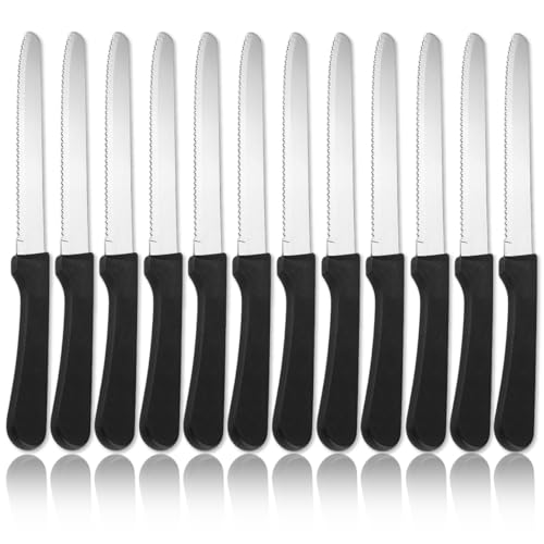 ReaNea Steakmesser 12er Set, Edelstahl Steakmesser Set, gezackte Steakmesser, Geschenke für Zuhause, Restaurant, Partys, Hochzeit, Camping, Outdoor