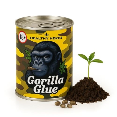 Cannabis Anbau Starter-Kit/Set für 1 Automatic Hanf/Weed Pflanzen inkl. Dünger und Growanleitung für Anfänger (Gorilla Glue)