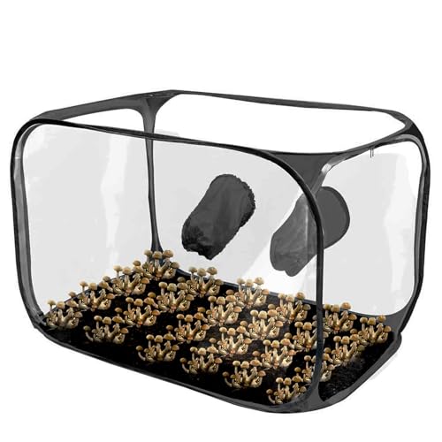 Mushroom Still Air Box,Still Air Box für Mushroom | Transparenter Pflanzbeutel Pilzzelt - Pop-up-Design, zusammenklappbare Wachstumsbehälter, Gartenbauzubehör für Pilzexperimente
