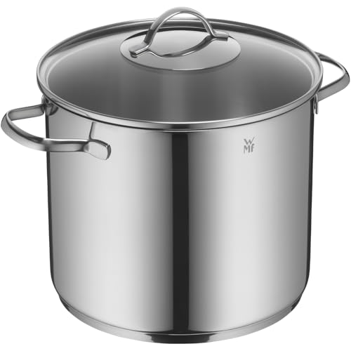 WMF Provence Plus Gemüse- Suppentopf Induktion 24cm, Glasdeckel, Kochtopf groß 8,8l, Cromargan Edelstahl poliert, großer Topf unbeschichtet, backofengeeignet