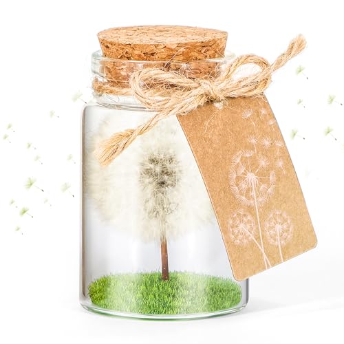 Giftota Wunscherfüller, Echte Pusteblume im Glas mit Geschenkbox - Handgefertigt, Geschenk für Geburtstag, Hochzeit