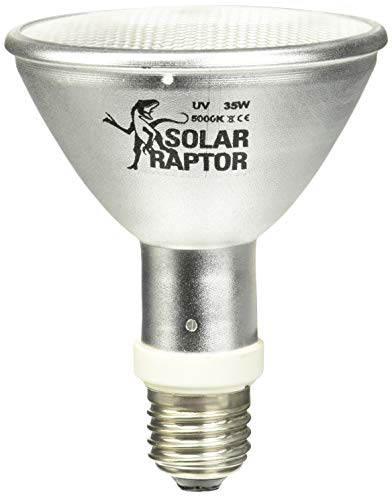 SOLAR RAPTOR HID UV-Strahler, Metalldampflampe, Wärme & UV-Lampe für Terrarien (35 Watt/Flood)