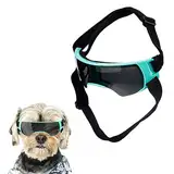 Hundebrille für Kleine Hunde, Winddicht Hundesonnenbrille mit Verstellbarem Riemen Welpen-Sonnenbrille für Kleine Mittelgroße Hunde Augenschutzbrille für Outdoor Reiten Autofahren (Blau)