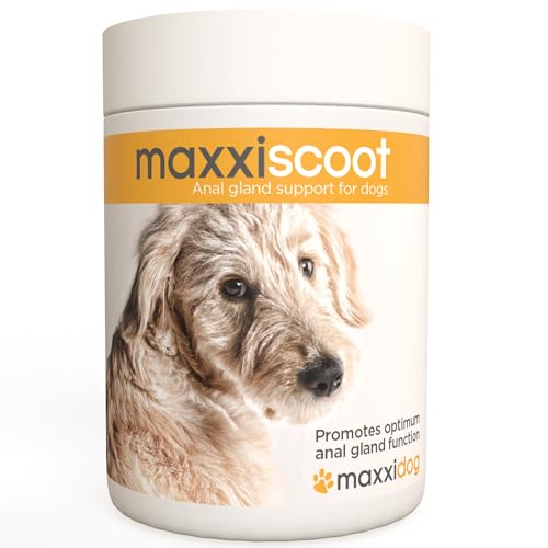 maxxipaws maxxiscoot Analdrüse & Darmgesundheit für Hunde - Nahrungsergänzungsmittel in Pulverform, 140g