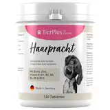 TierPlus Haarpracht, hochdosiertes Biotin Komplex für Hunde, gegen Haarausfall, Juckreiz & trockene Haut- Für EIN glänzendes Fell & schöne Haut, 120 Tabletten