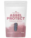 NatureHolic Assel Protect TerrainBoost - Bodenverbesserer für Asselterrarien | Fördert Bodenleben & Gesundheit der Asseln | Schimmel- und Bakterienschutz | Für vitalen Bodengrund | 500g