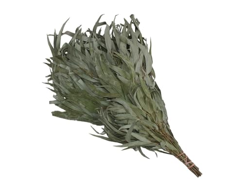 Saunabesen aus Eukalyptus – Frischer Saunaaufguss-Besen für Rituale & Wellness – Naturprodukt zur Reinigung & Entspannung – 1–2 Anwendungen (1)