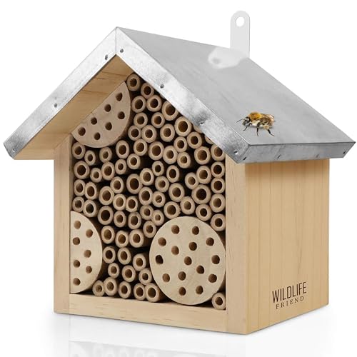 WILDLIFE FRIEND I Bienenhotel mit Metalldach, Wildbienen Insektenhotel - Fertig Montiert aus Kiefernholz & 100% Wetterfest - Unbehandelt, Insektenhotel, Nisthilfe für Wildbienen