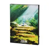 Elbenwald Zelda Masterschwert Wandbild mit Licht batteriebetrieben 30 x 40 x 3,8 cm