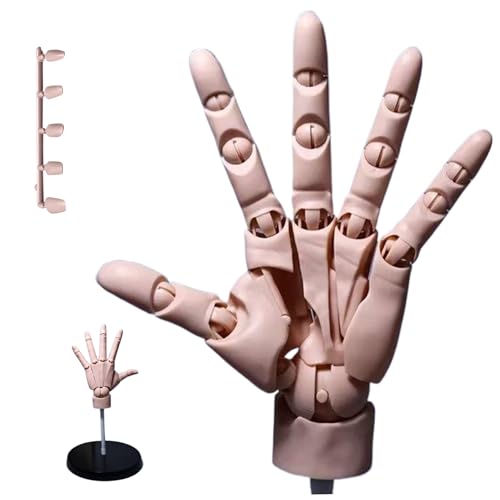 MOUNTTU Handmodell zum Zeichnen, Handmodell 1:1, bewegliche Schaufensterpuppenhand, bewegliche Gelenkhand mit Sockel, DIY-PVC- zum Zeichnen, Malen, Skizzieren, Teintieren