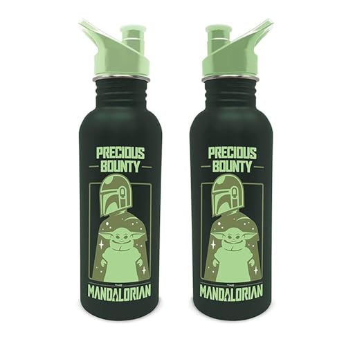 STAR WARS: THE MANDALORIAN (PRECIOUS BOUNTY) METAL CANTEEN BOTTLE: The Mandalorian (Precious Bounty) Metal Canteen Bottle