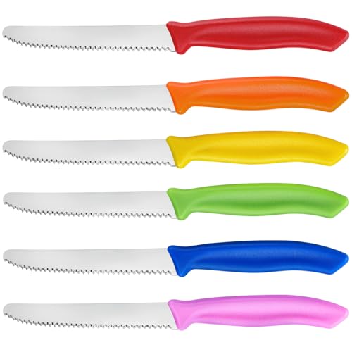 hunnycook Frühstücksmesser Bunt 6 Stück, Wellenförmiger Tafelmesser mit Wellenschliff, Frühstücksmesser set aus Edelstahl, Besteck messer set für Haus und Restaurant, Spülmaschinenfest