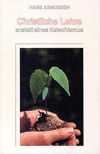 Christliche Lehre: Anstatt eines Katechismus