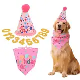 Qianyu Hund Geburtstagsmütze Haustier Geburtstagsparty Zubehör Set Süßer Hund Geburtstag Deko Dreiecks-Schal Bling Nummern Welpen Geburtstags Outfit für kleine Mittelgroße Hunde Katzen Kostüme