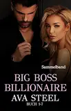 Boss Billionaire Buch Box 1-7 (Big Boss Billionaire Sammelband 1)