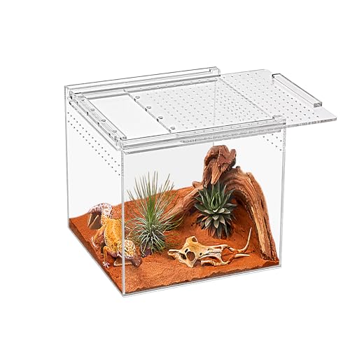 KAKOOTI Reptile Terrarium,6.8"X6.8"X6"inch Reptile Zuchtbox, magnetisches Acrylgehäuse, für Tarantula, Einsiedlerkrabbe, springende Spinne, Iguane, Leopard Gecko, Bartdrache, Insekt, Mantis