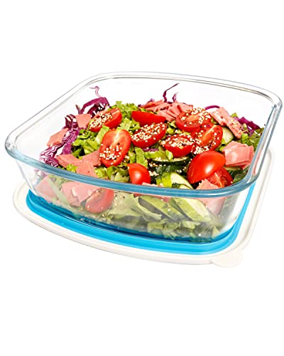 NUTRIUPS Auflaufformen aus Glas mit Deckel 22 x 23 cm, Auflaufform aus Glas 2.6L, Quadrat Backofen Kristall