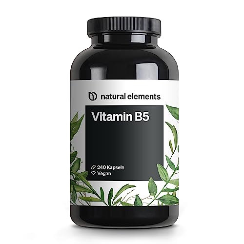 Vitamin B5 – 240 Kapseln - hochdosierte 500 mg Pantothensäure – vegan – in Deutschland produziert & laborgeprüft