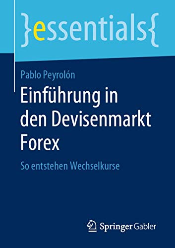 Einführung in den Devisenmarkt Forex: So entstehen Wechselkurse (essentials)