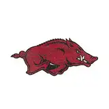 Fan Creations Unisex-Erwachsene C0983-Arkansas: University of Arkansas Team Logo 20,3 cm Ausschnitt 30,5 cm, 8 inch