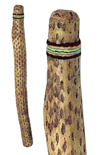 Terré Regenmacher aus Chile Länge 100 cm Ø 6-8 cm Regen imitieren Regenstock Naturgeräusch Klang Percussion Weltmusik