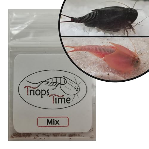 Triops Mix (Urzeitkrebse) - 100 Eier von Hand gezählt mit Futter und Anleitung für eine artgerechte Haltung von Triops