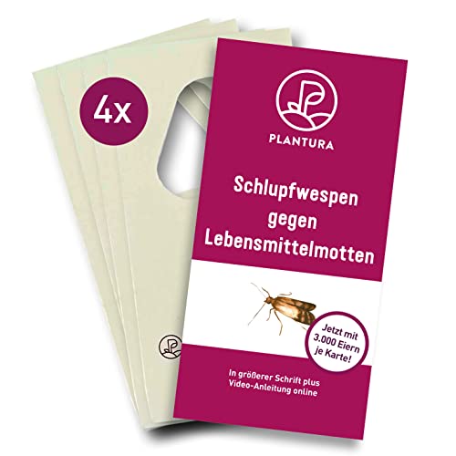 Plantura Schlupfwespen gegen Lebensmittelmotten, 4 Karten à 3 Lieferungen, wirksam & nachhaltig