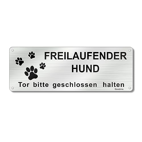 Goodvia Hier Wache ich Hund | Vorsicht Freilaufender Hund schild | Betreten auf Eigene Gefahr Schild 25x9cm Gebürstetes Aluminium mit 4 Vorgebohrten Löchern