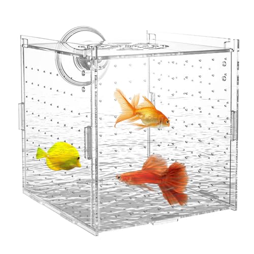 Fischzuchtkorb - Isolationsbehälter 'Aquarienzüchter mit Trennwand | Schwimmender Baumschule zum Frittieren, Kampf, Guppy, Fisch für Kinder | Kindergarten-Box Acryl, Inkubat